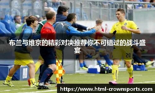 布兰与维京的精彩对决推荐你不可错过的战斗盛宴